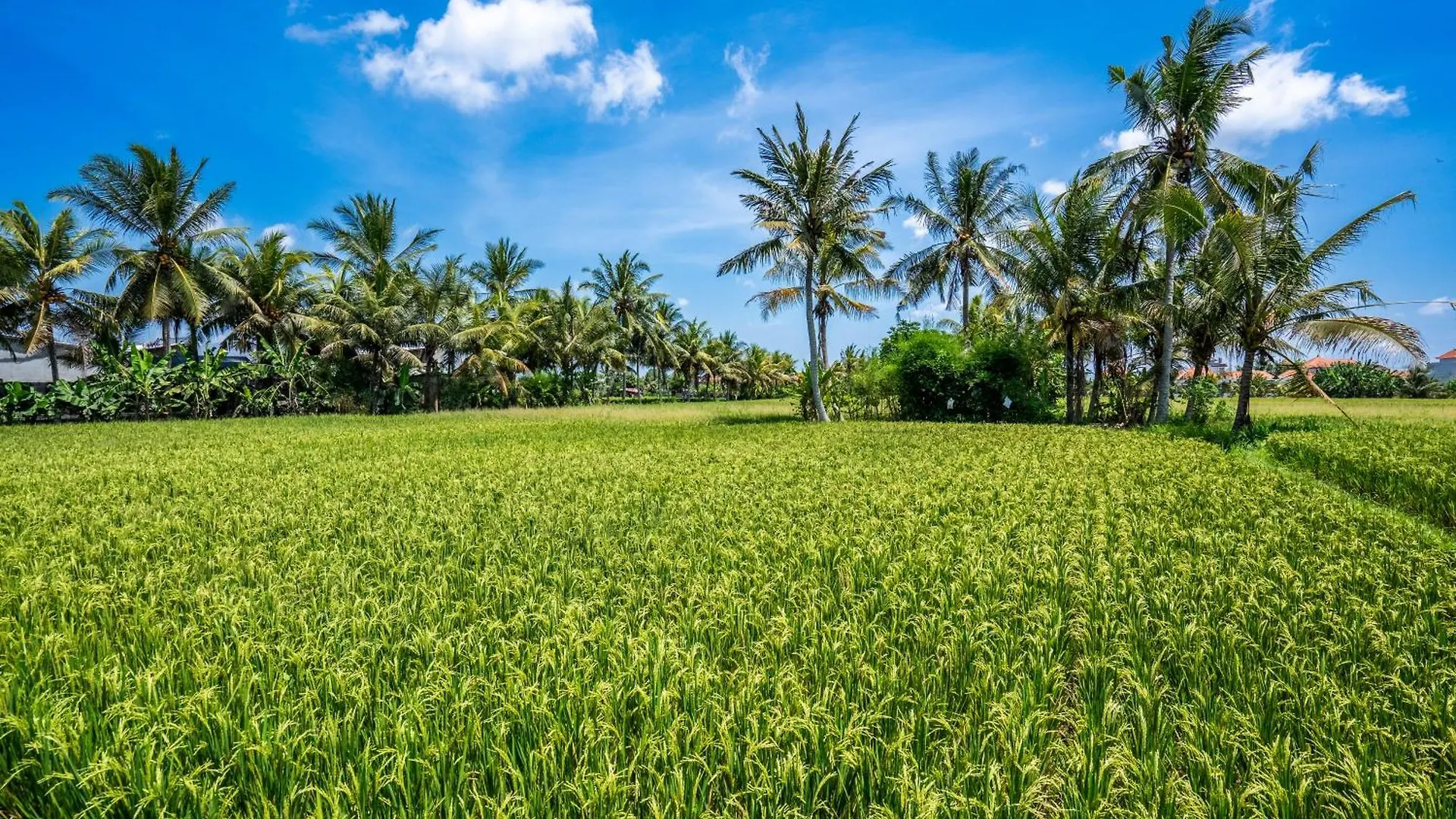 Green Flow Ubud Villa 29